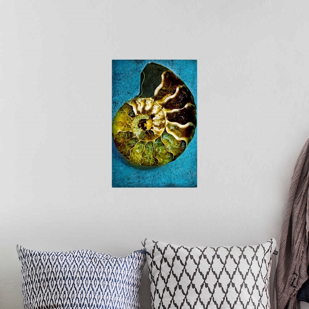 A bohemian room featuring Decorative wall art for the home, office, or beach house this vertical photograph of a nautiluses...