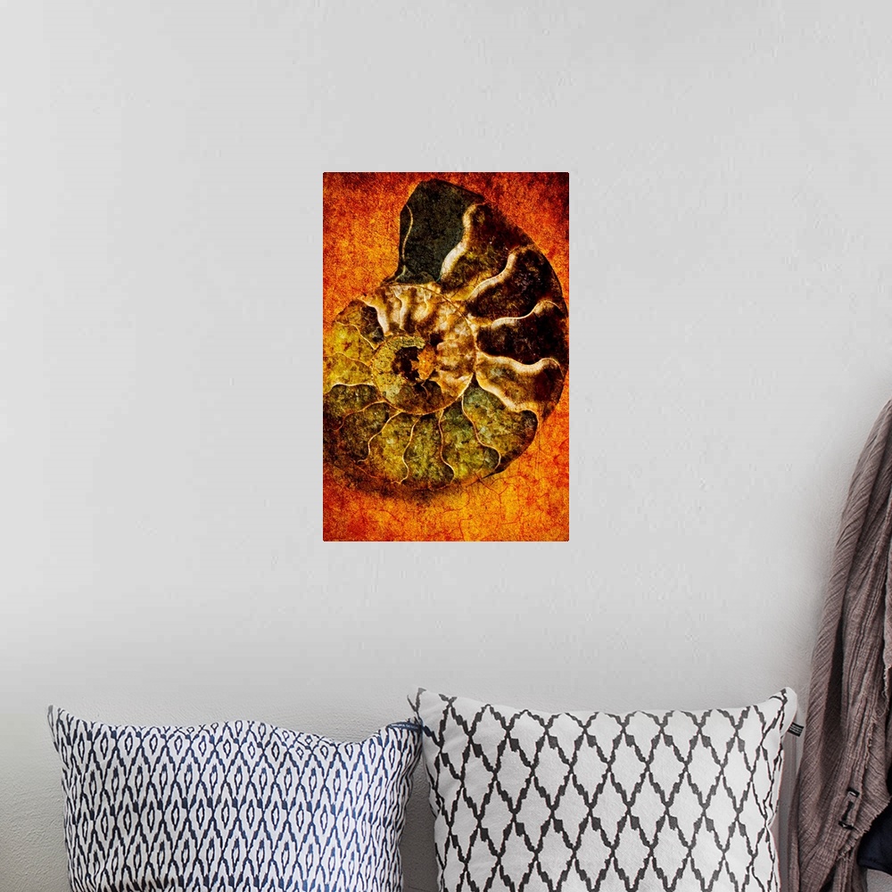 A bohemian room featuring This large piece is artwork of a ammonoidea fossil against a warm toned background.