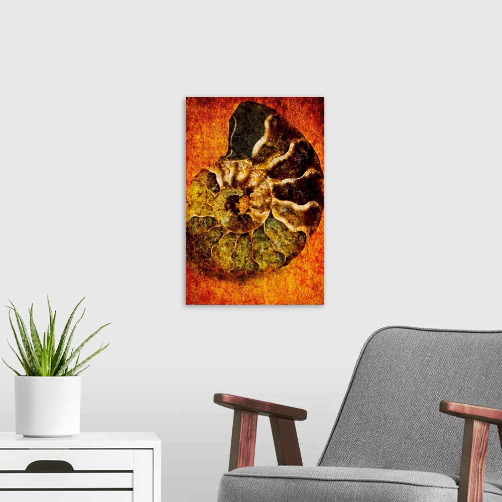 A modern room featuring This large piece is artwork of a ammonoidea fossil against a warm toned background.
