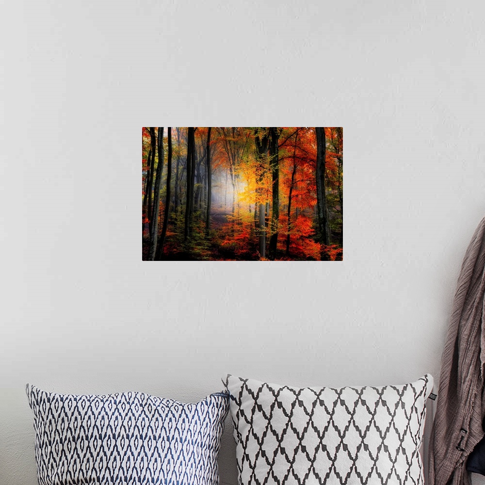 A bohemian room featuring Large photograph of a densely filled forest in Autumn full of trees displaying their brightly col...