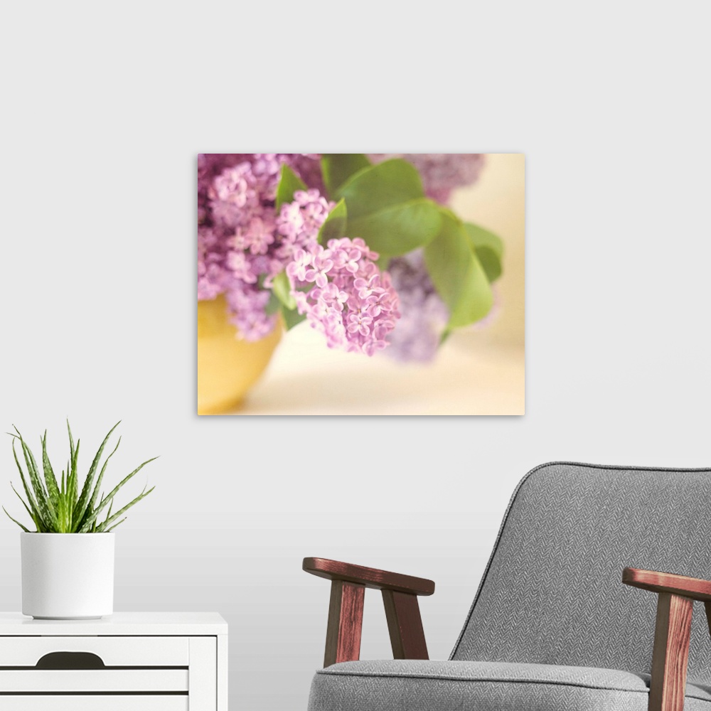 A modern room featuring A soft focus vintage bowl of Lilac flower blossoms in a soft yellow vase.