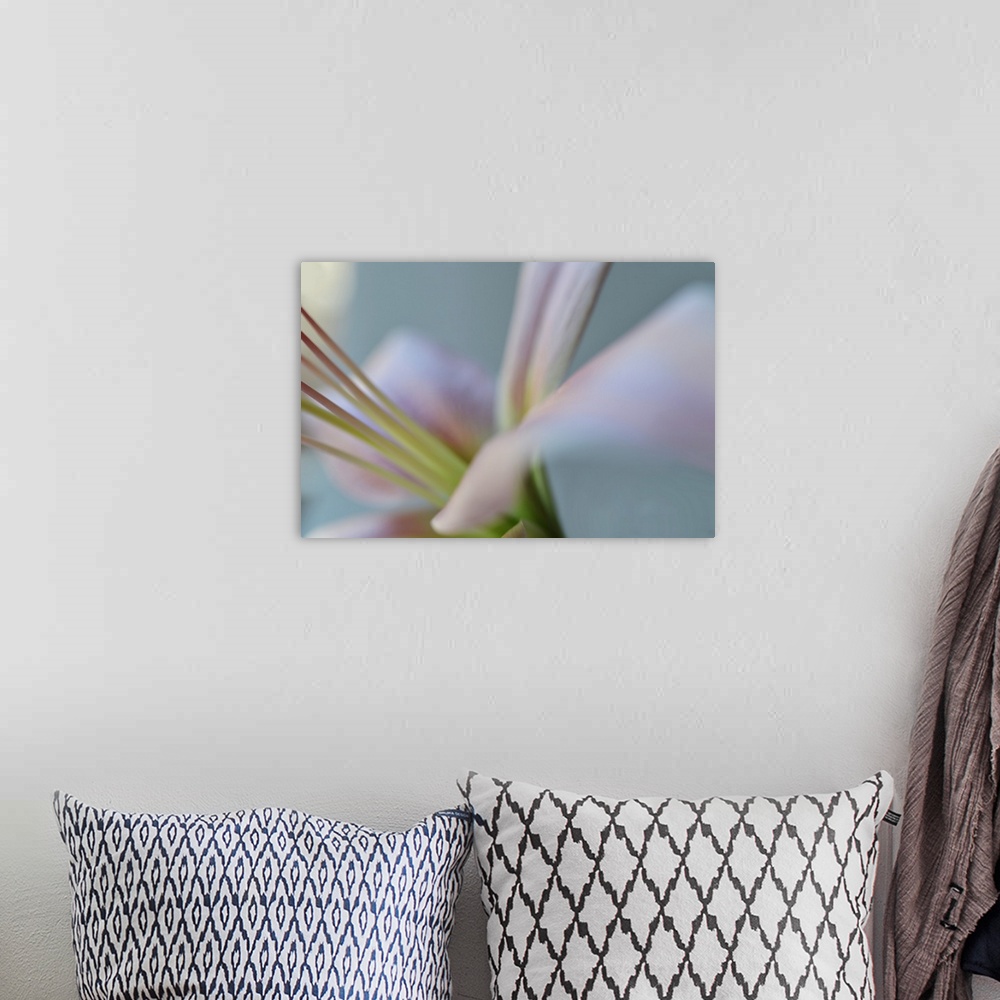 A bohemian room featuring Close up photo of the center of a pale pink lily.