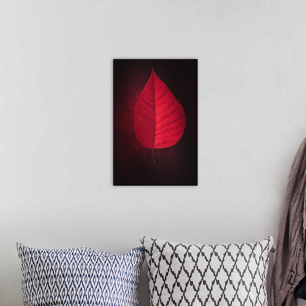 A bohemian room featuring Photograph of a bright red leaf on a dark red ground with a dotted black line lining up perfectly...