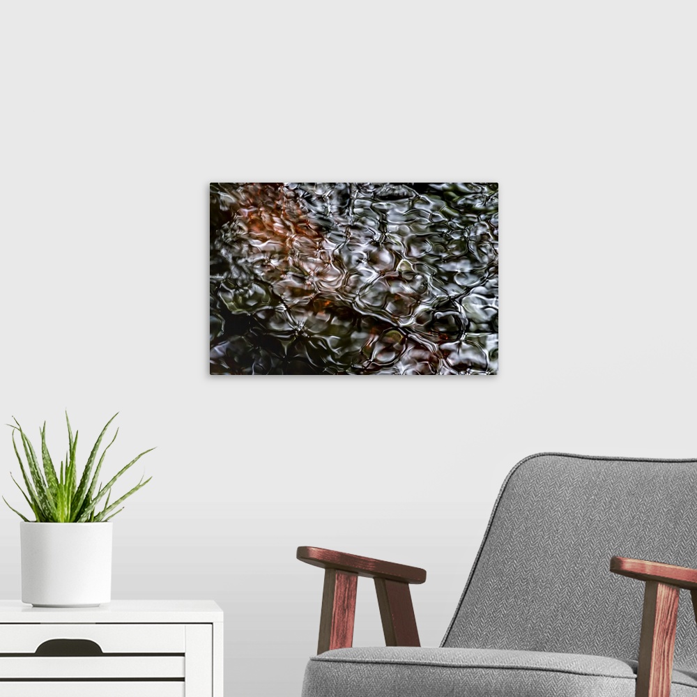 A modern room featuring A photograph of a close-up of rippled water with a dark brown peering through the surface.