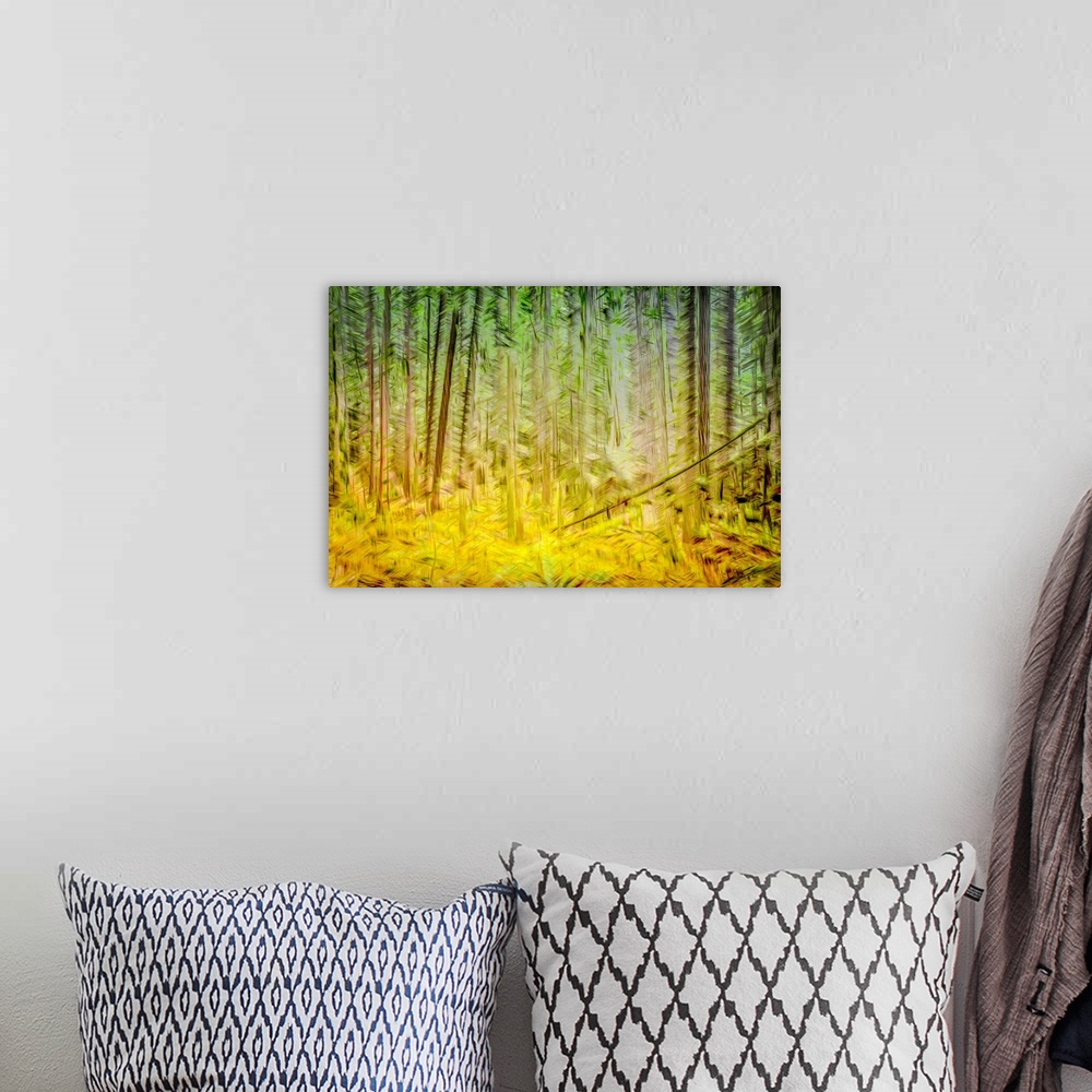 A bohemian room featuring Sunlight forest scene captured with In-Camera-Movement and multiple exposure.