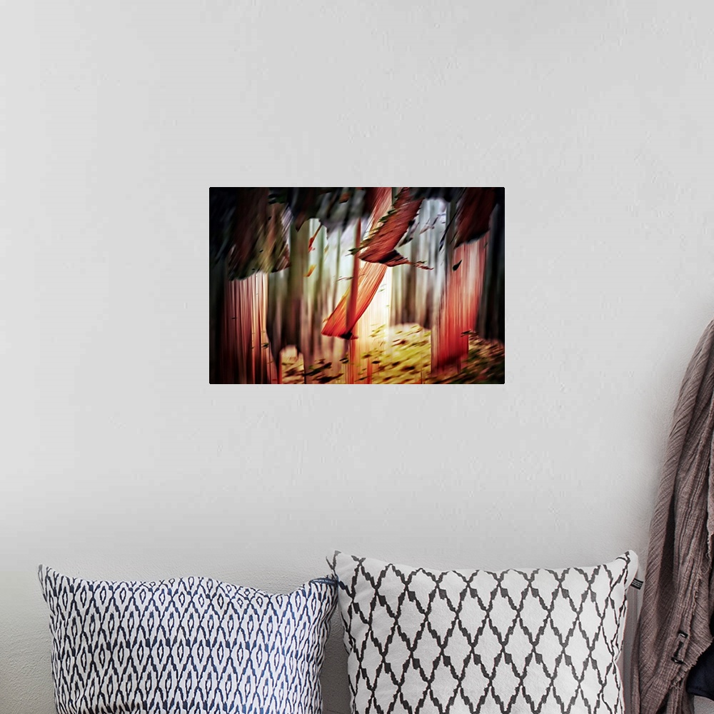 A bohemian room featuring Abstract image of a group of cedars in the woods, in Winter. Cedars trunks often show very red co...