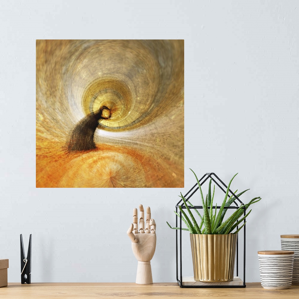 A bohemian room featuring Square abstract photograph of a tree bending into a spiraling circle center in shades of orange, ...