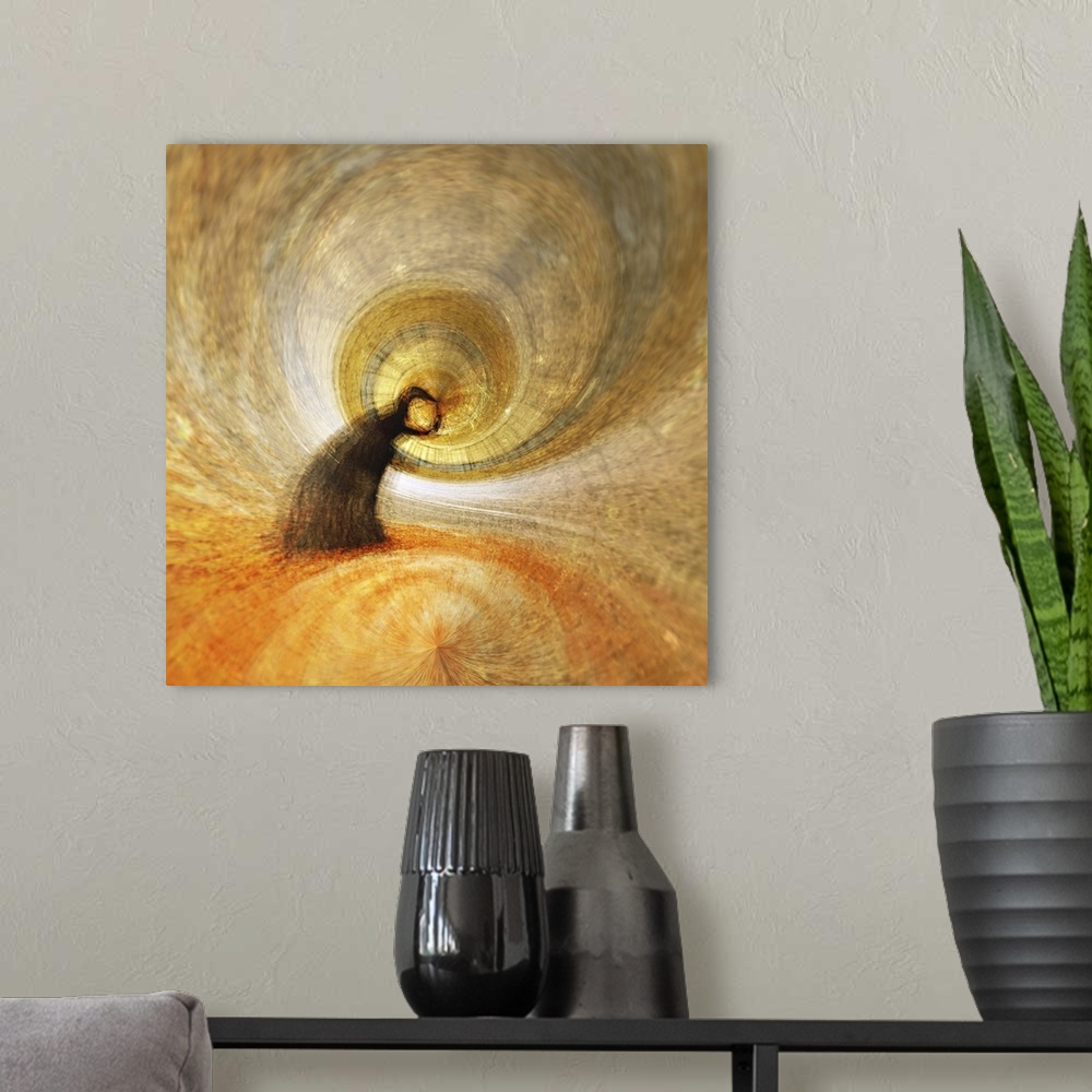 A modern room featuring Square abstract photograph of a tree bending into a spiraling circle center in shades of orange, ...