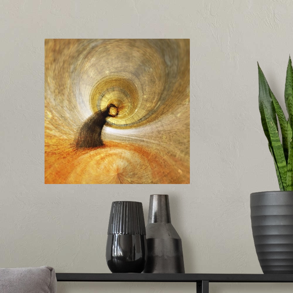 A modern room featuring Square abstract photograph of a tree bending into a spiraling circle center in shades of orange, ...