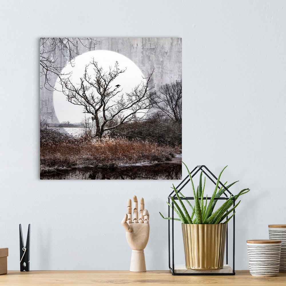 A bohemian room featuring A big moon behind a swampy landscape