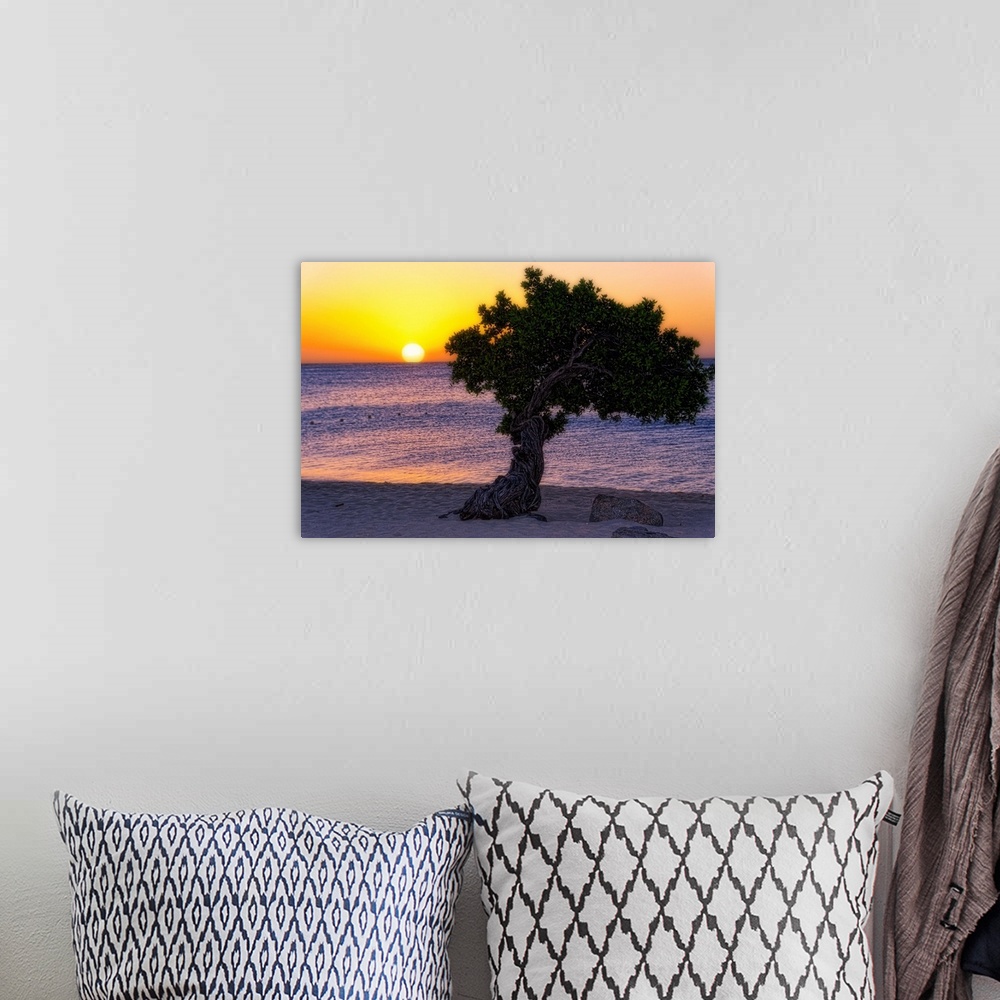 A bohemian room featuring Fine art photo of a single tree on a sandy beach at sunset.