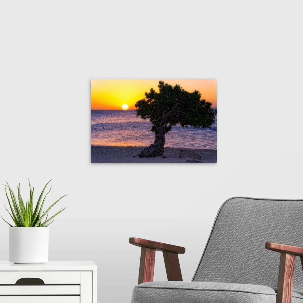 A modern room featuring Fine art photo of a single tree on a sandy beach at sunset.