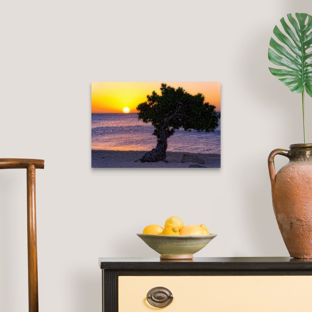 A traditional room featuring Fine art photo of a single tree on a sandy beach at sunset.