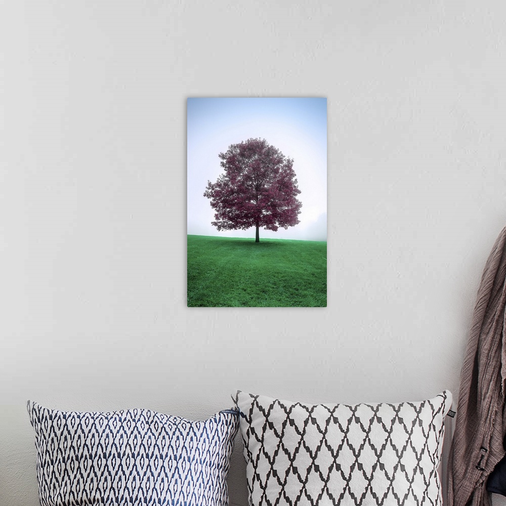A bohemian room featuring A surreal image of a lone tree with dark rich magenta leaves breaking the smoothly gradated soft ...