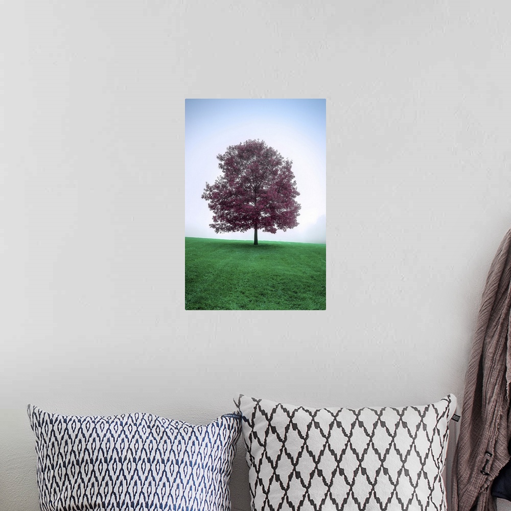 A bohemian room featuring A surreal image of a lone tree with dark rich magenta leaves breaking the smoothly gradated soft ...
