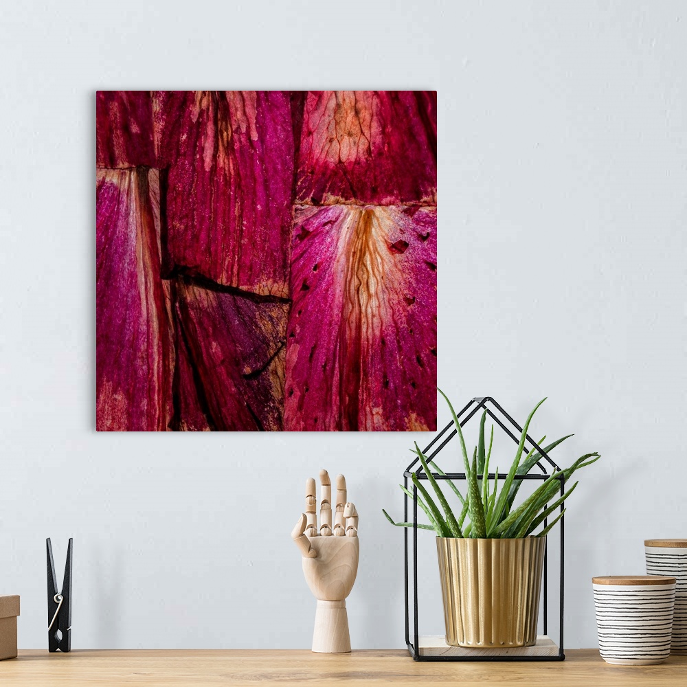 A bohemian room featuring Square abstract art with sections of wood placed together in bright shades of pink and purple.