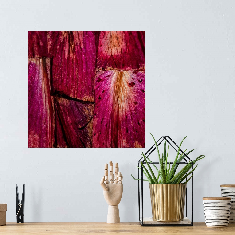 A bohemian room featuring Square abstract art with sections of wood placed together in bright shades of pink and purple.