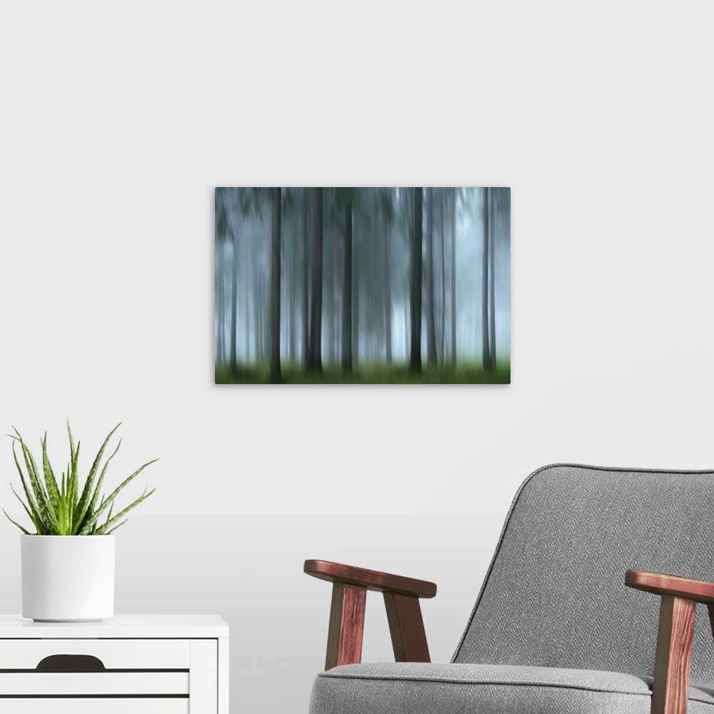 A modern room featuring It's still early in the quiet foggy forest. The new day seems to hesitate to start, so as not to ...