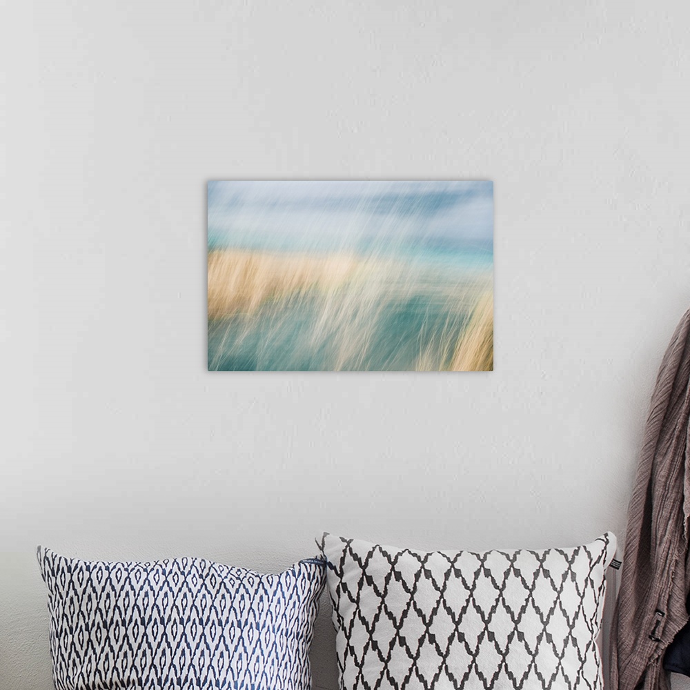 A bohemian room featuring Abstract of wild beach grass in sand dunes blowing in the wind.