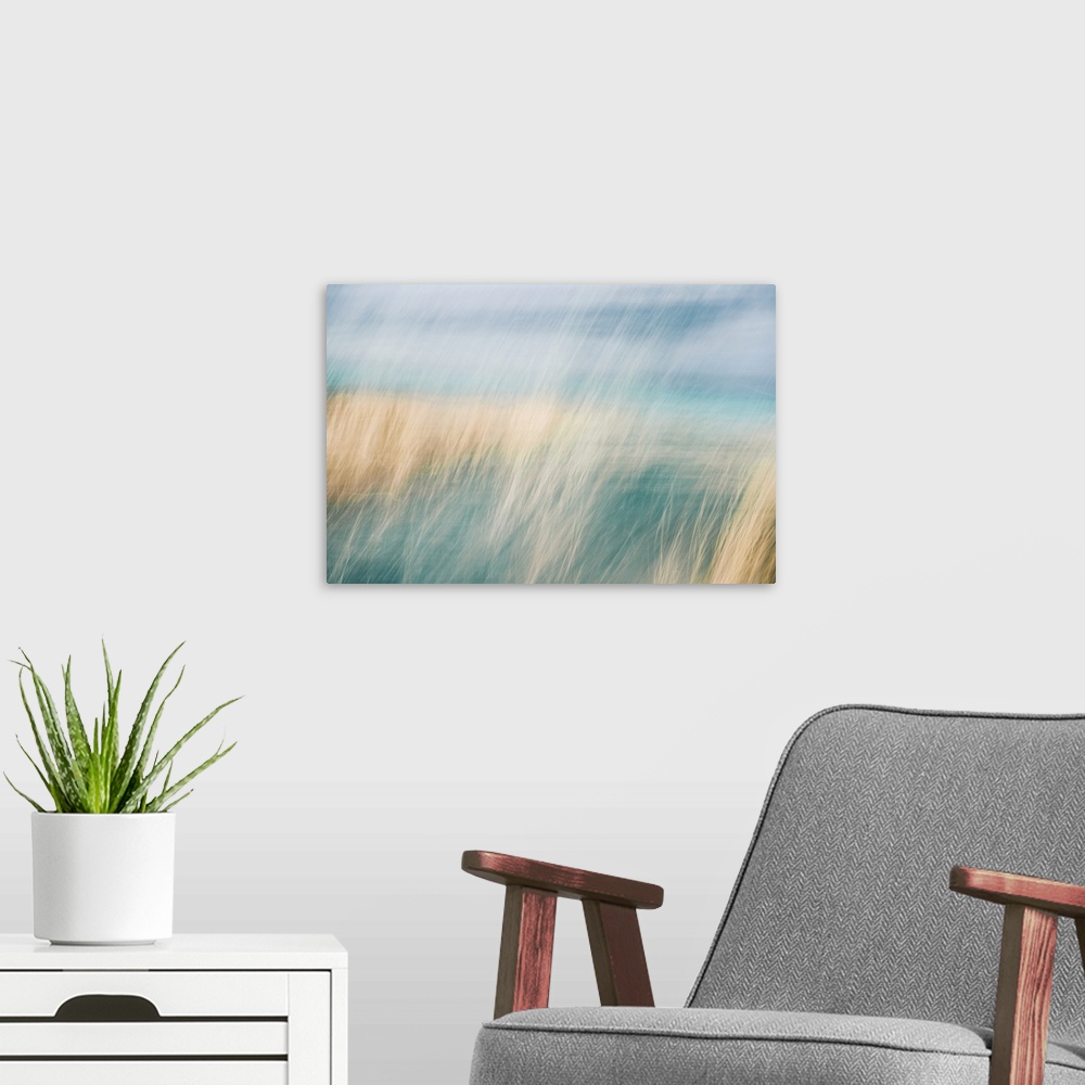 A modern room featuring Abstract of wild beach grass in sand dunes blowing in the wind.
