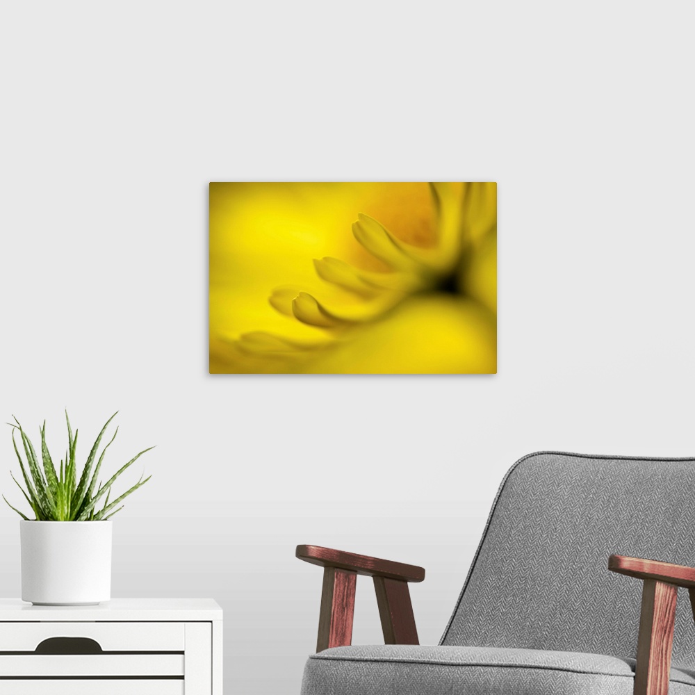 A modern room featuring Mad About Yellow