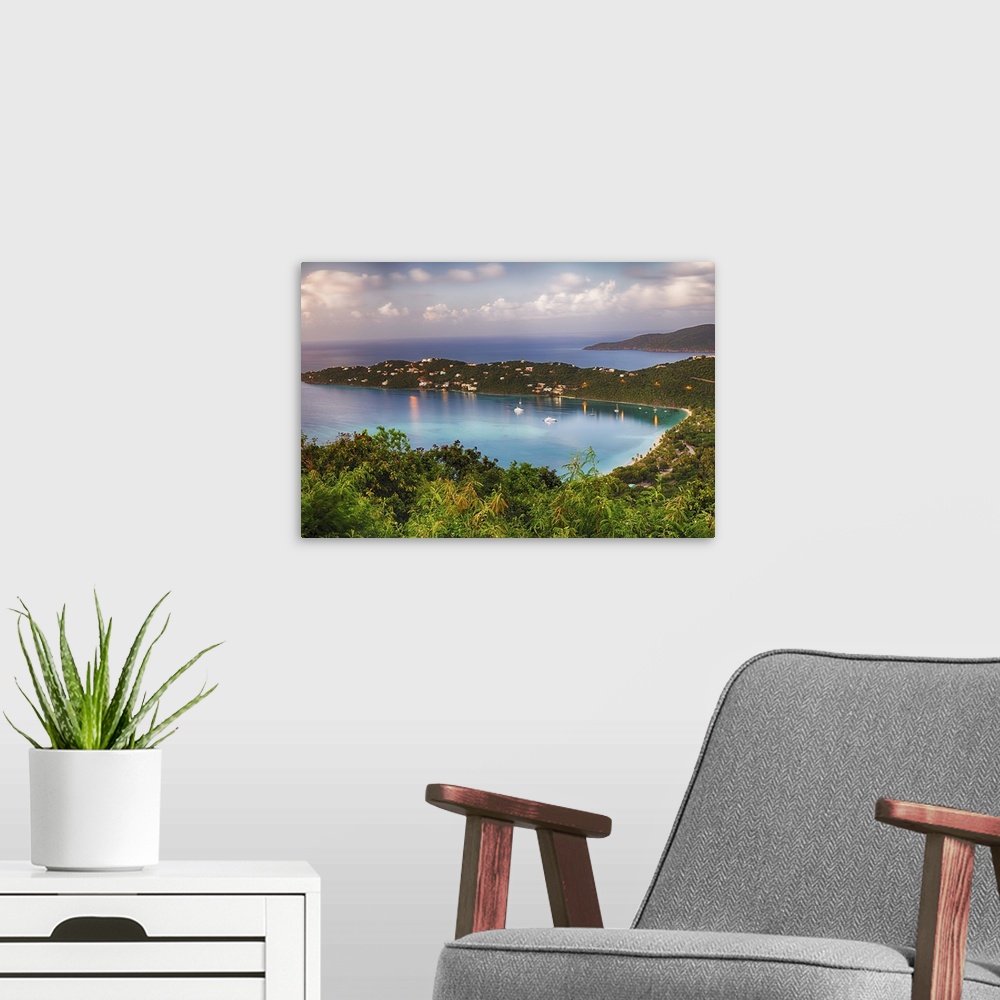 A modern room featuring A photograph of a tropical landscape.