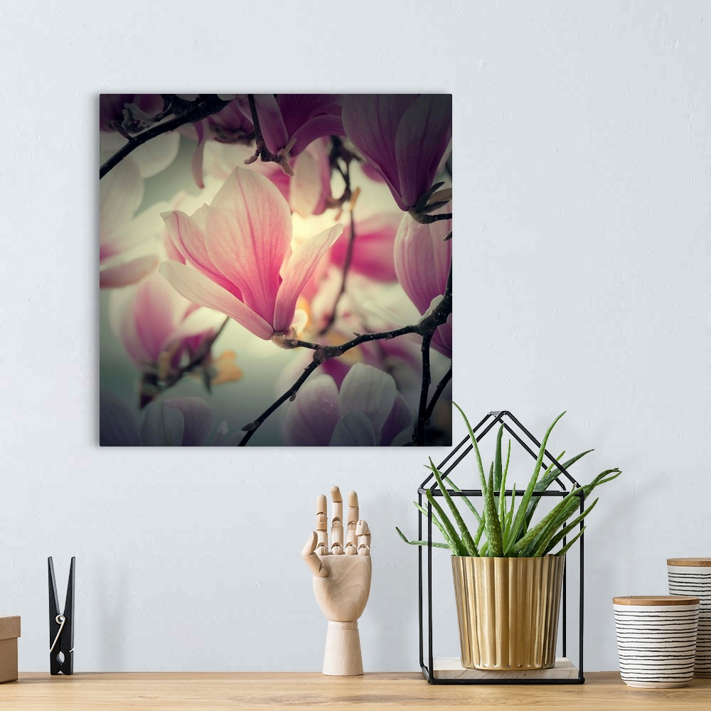A bohemian room featuring Huge photograph sets a sharp focus on a single flower within a blossom, while the surrounding flo...