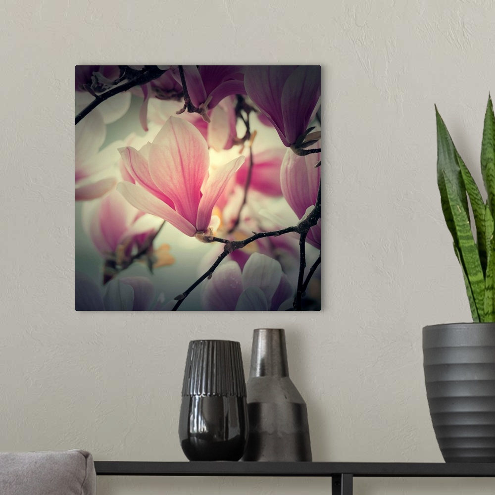 A modern room featuring Huge photograph sets a sharp focus on a single flower within a blossom, while the surrounding flo...
