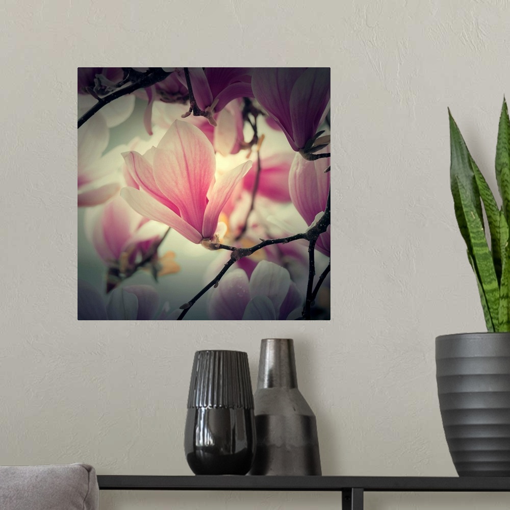 A modern room featuring Huge photograph sets a sharp focus on a single flower within a blossom, while the surrounding flo...