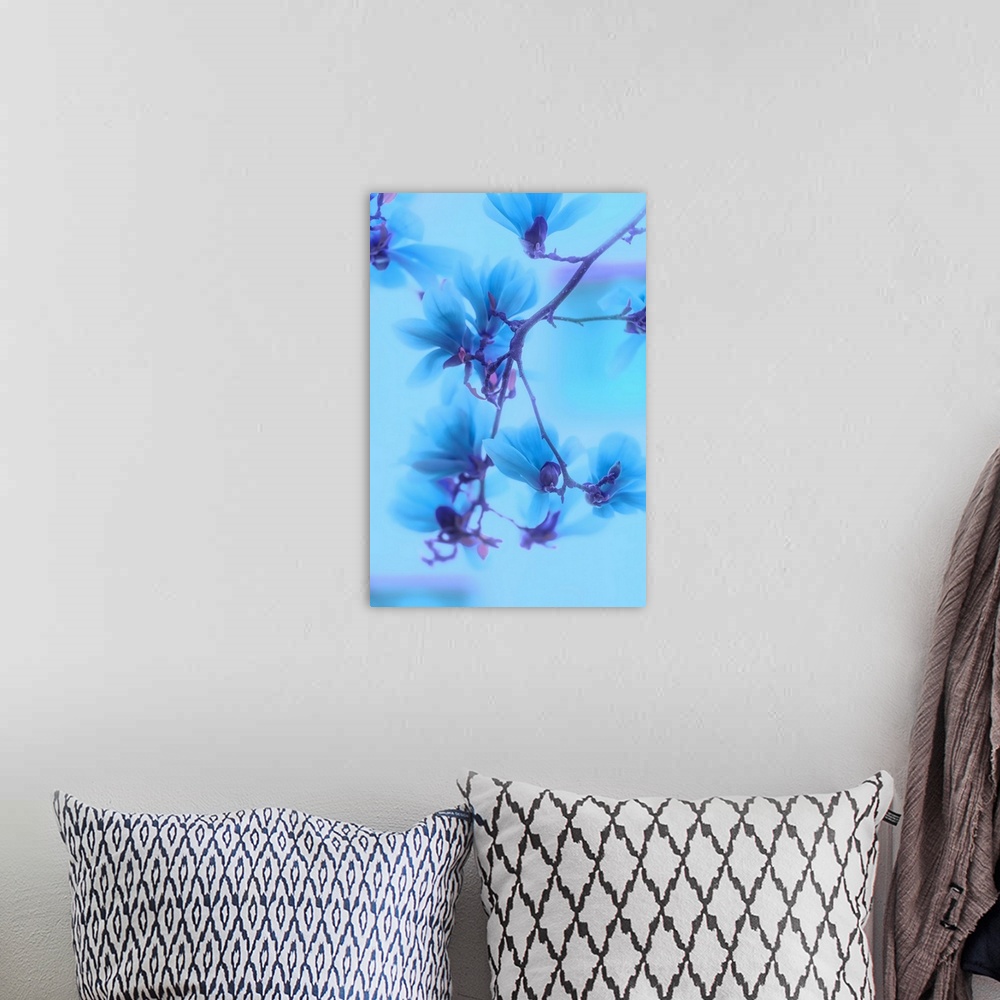 A bohemian room featuring Photo of magnolias with a blue filter