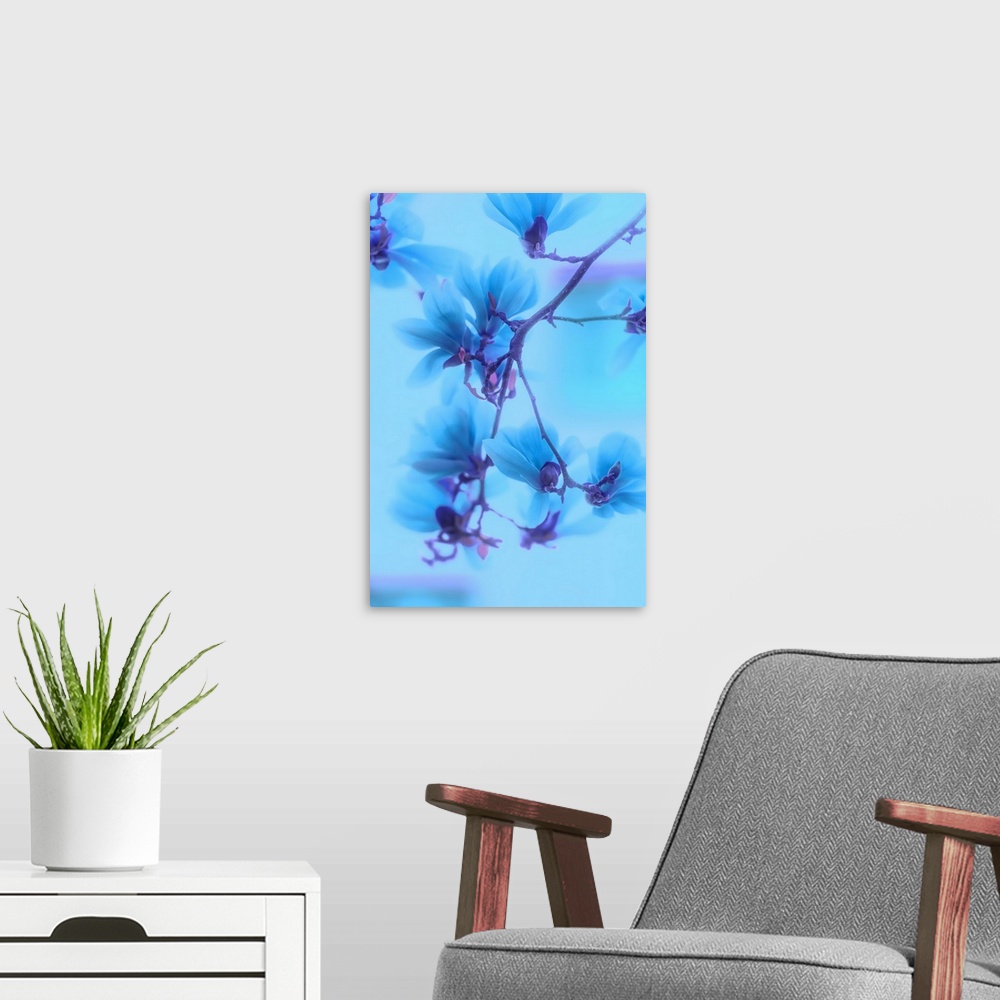 A modern room featuring Photo of magnolias with a blue filter
