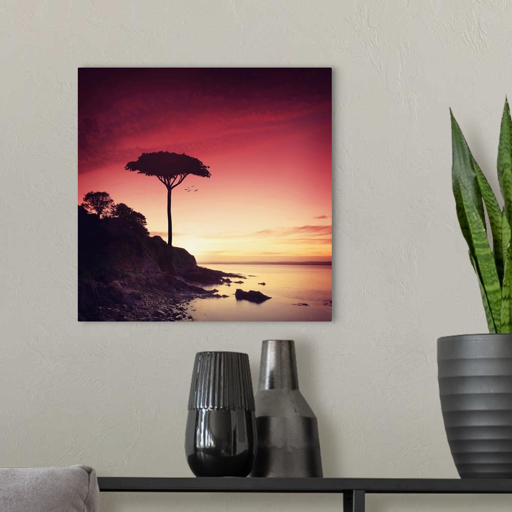 A modern room featuring Photograph of a silhouetted lone tree on a rocky shoreline at sunset.