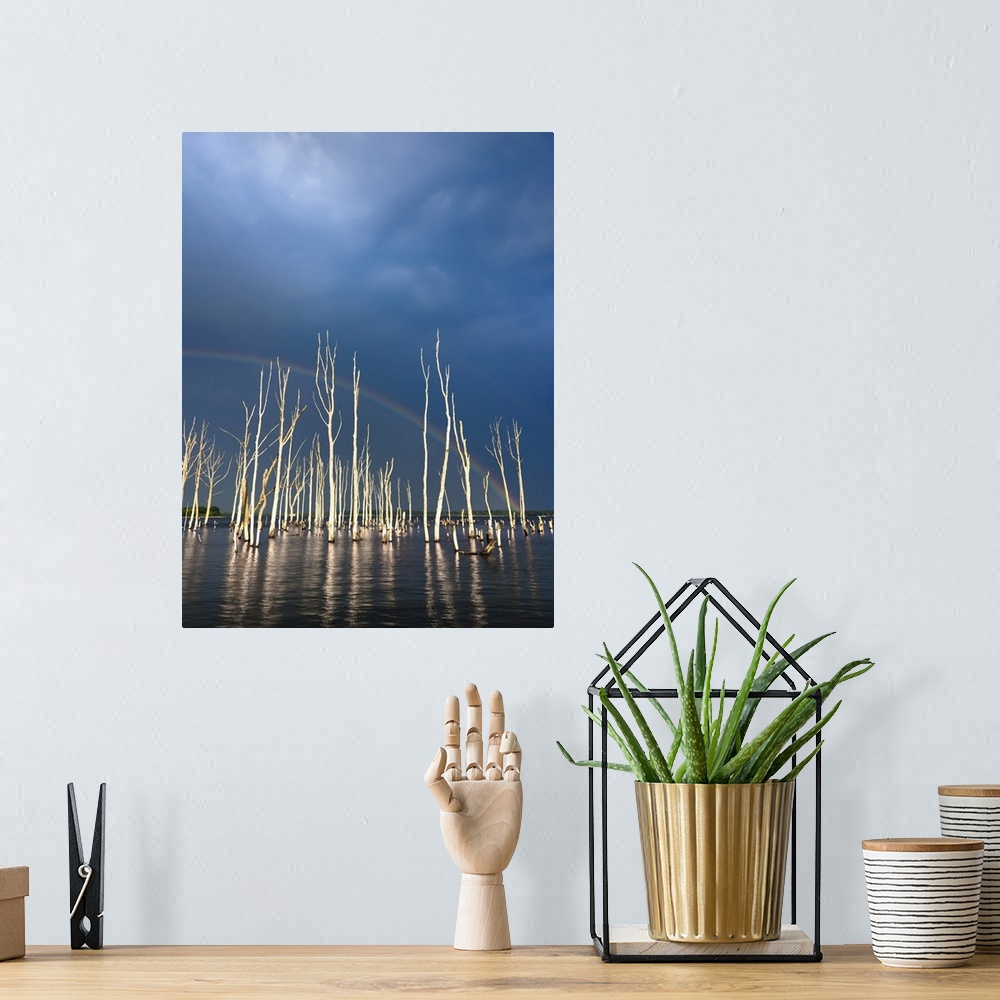 A bohemian room featuring A surreal image of beautifully lit skeletal trees reflected in lake waters under a dramatic sky a...