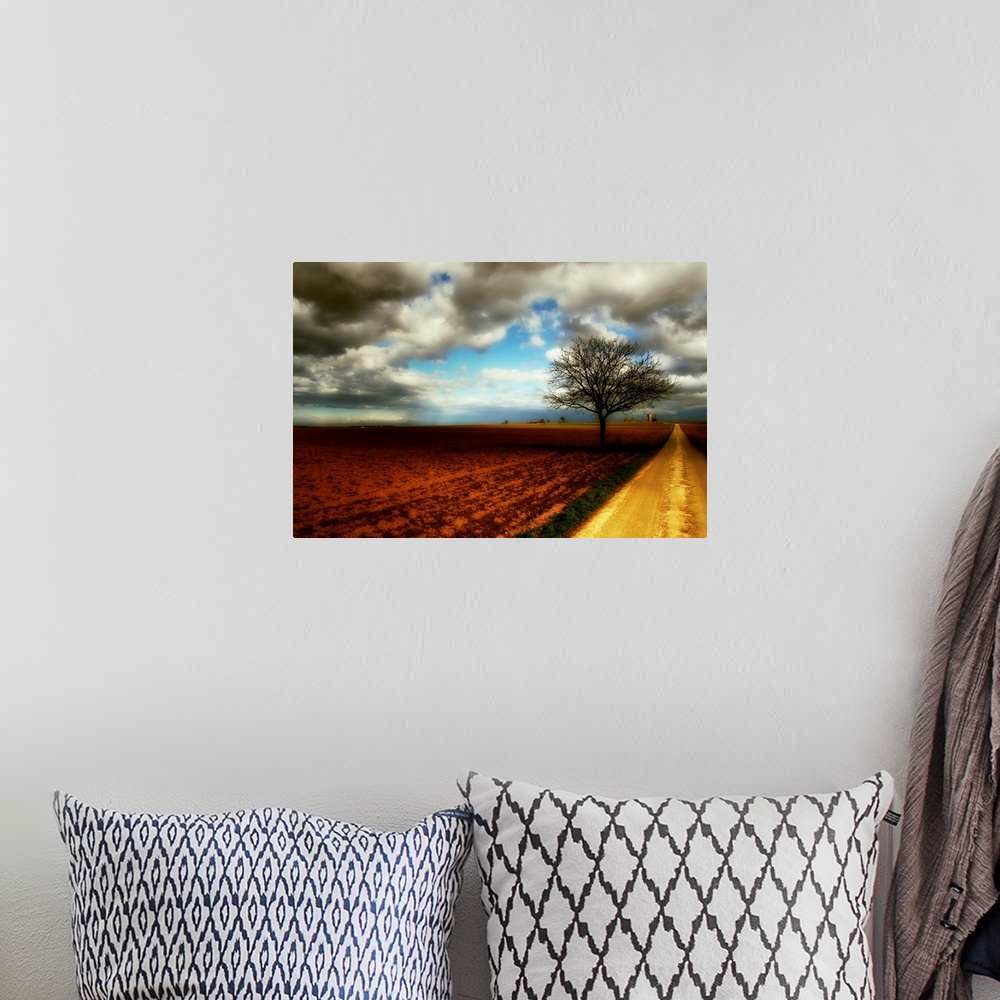 A bohemian room featuring Wall art of an empty field with a dirt road running through it and a lone tree silhouetted agains...