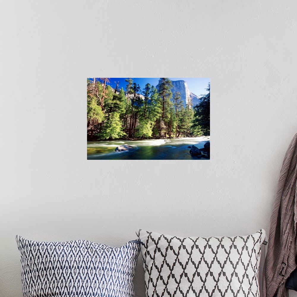 A bohemian room featuring Low Angle View of river lined by forest with the El Capitan in the distance at the Yosemite  Nati...