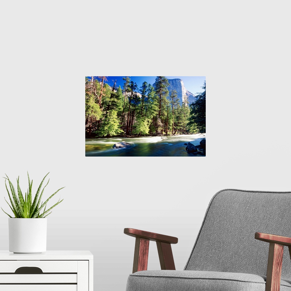 A modern room featuring Low Angle View of river lined by forest with the El Capitan in the distance at the Yosemite  Nati...