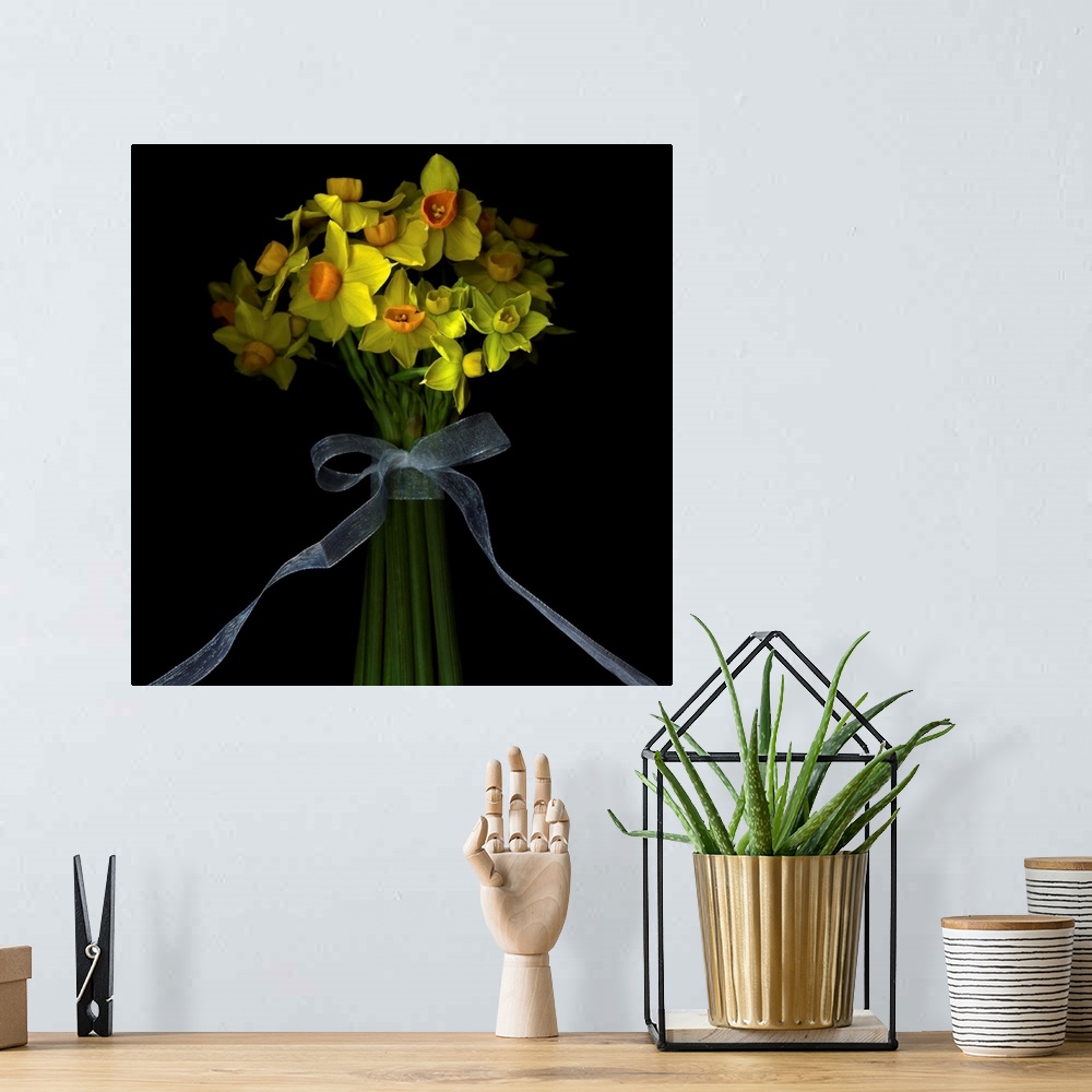 A bohemian room featuring Dwarf daffodils,a handful of narcissi with intoxicating fragrance, the stems, bound with a ribbon...