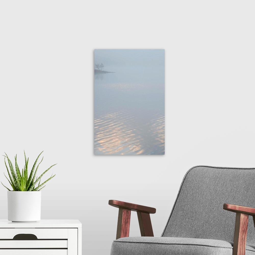 A modern room featuring Fine art photo of a lake covered in fog in the morning, with a little bit of light reflecting off...