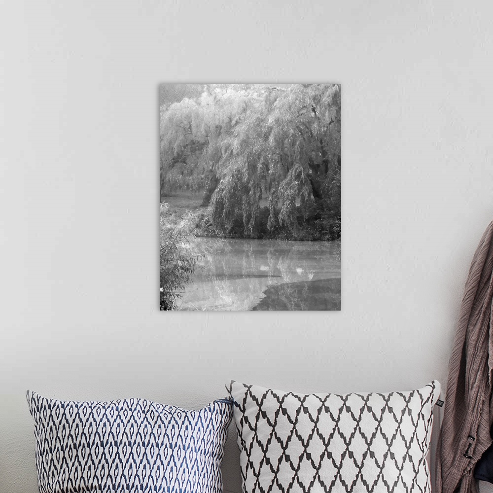 A bohemian room featuring Black and white image of drooping willow trees along a river's edge.