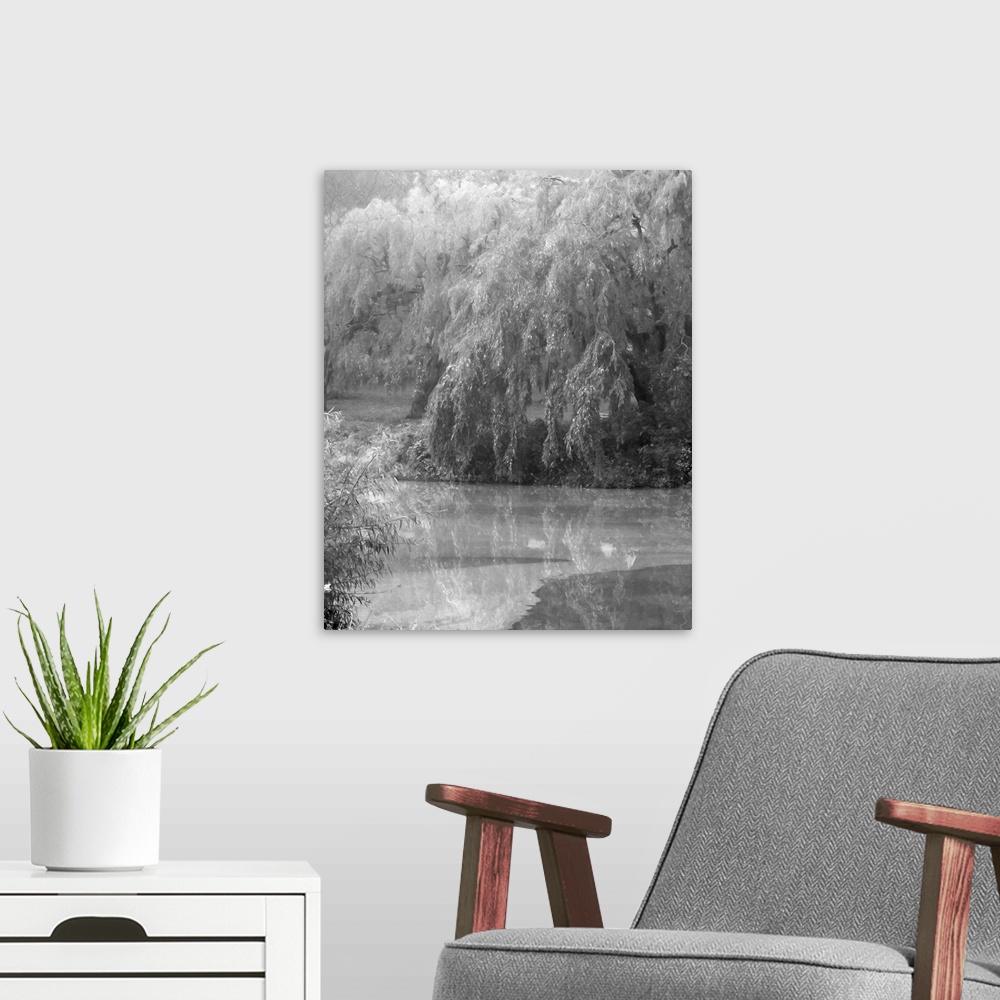 A modern room featuring Black and white image of drooping willow trees along a river's edge.