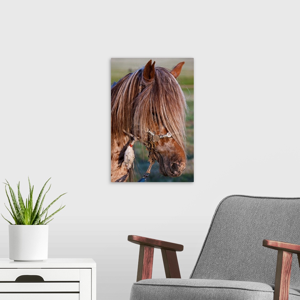 A modern room featuring Mongolian Ponies II