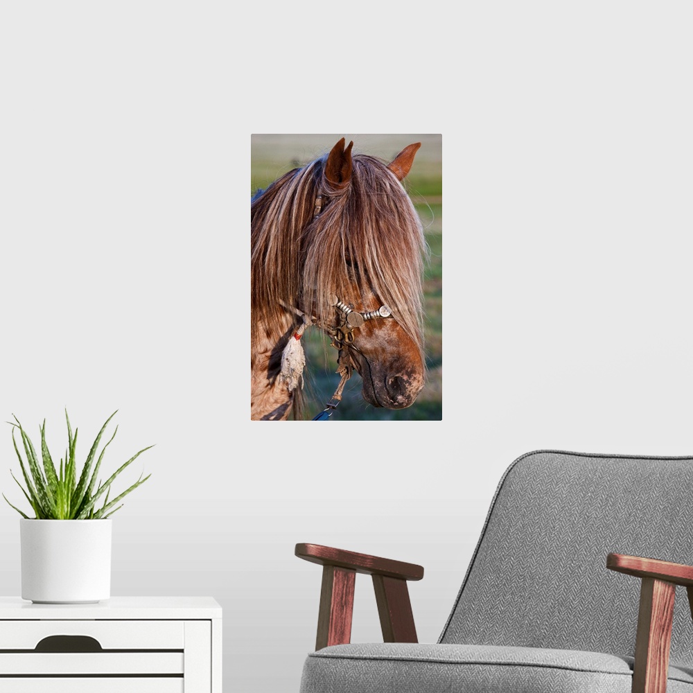 A modern room featuring Mongolian Ponies II