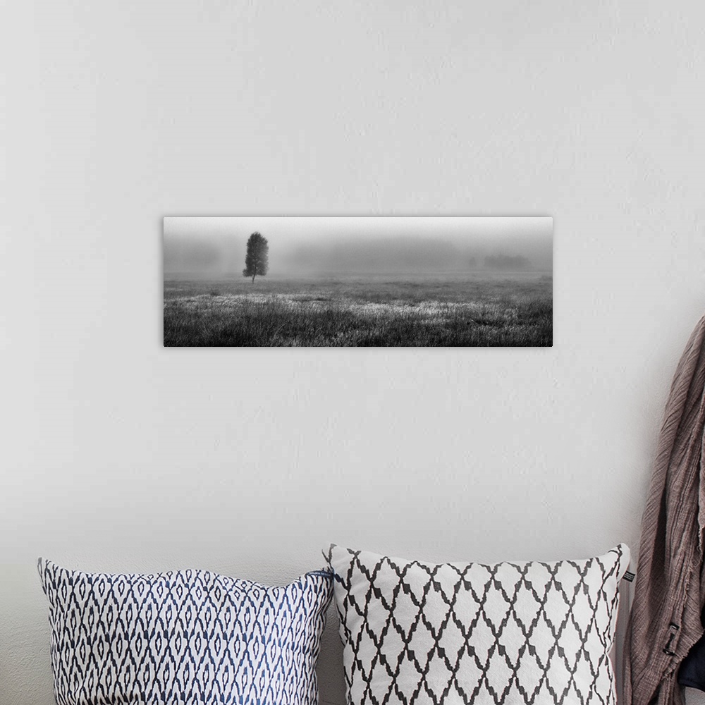 A bohemian room featuring A panoramic moonochrome black and white misty scottish landscape of a moorland with a lone tree i...