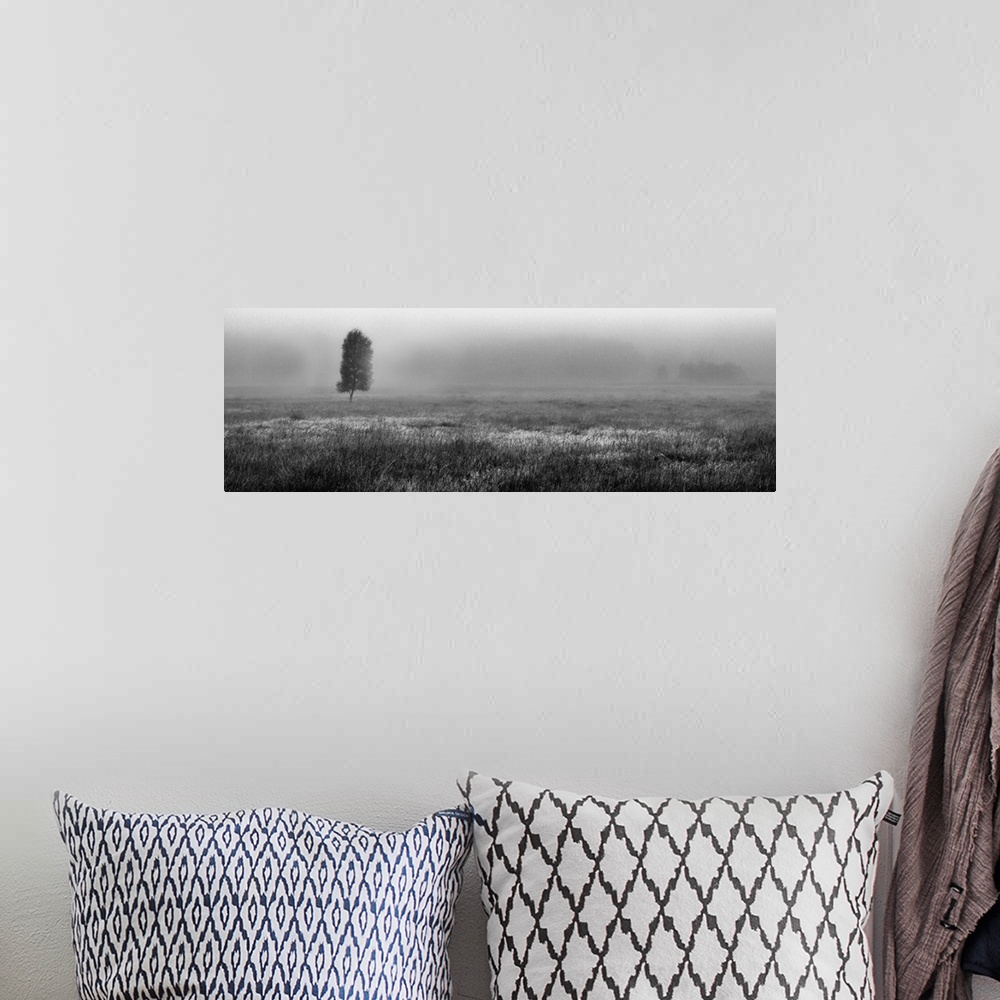 A bohemian room featuring A panoramic moonochrome black and white misty scottish landscape of a moorland with a lone tree i...