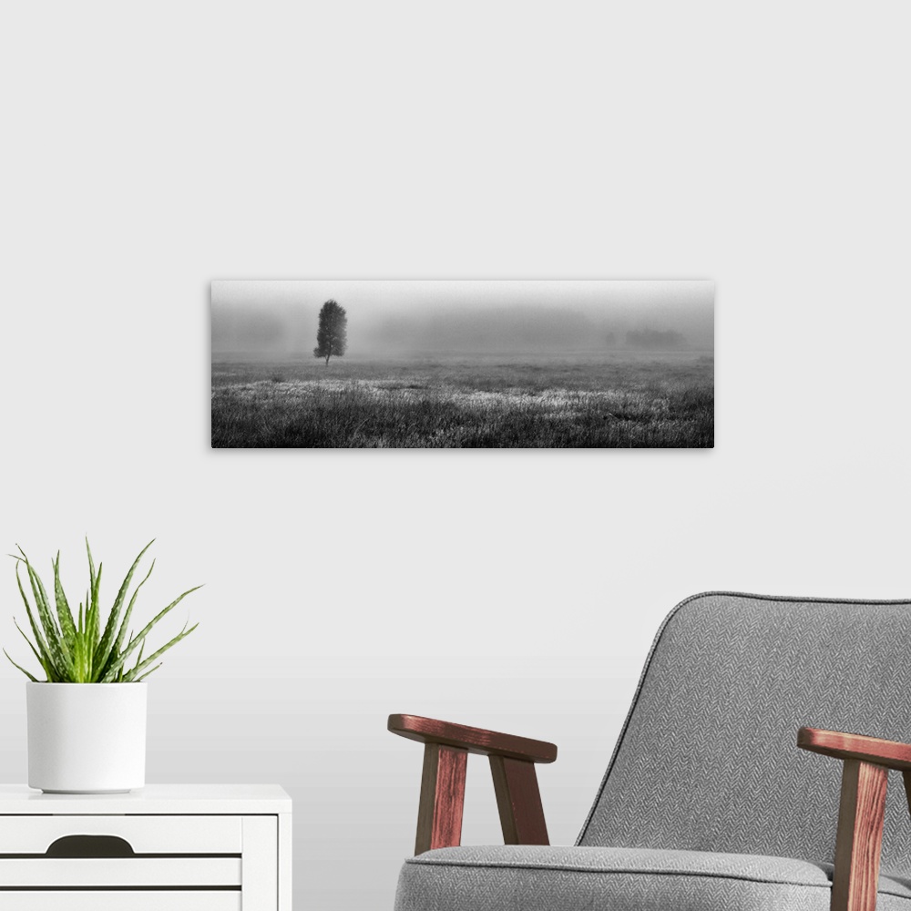 A modern room featuring A panoramic moonochrome black and white misty scottish landscape of a moorland with a lone tree i...