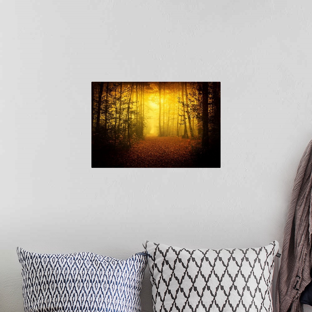 A bohemian room featuring Morning yellow mood of Broceliande forest in France, Britany area, a path crossing the forest and...