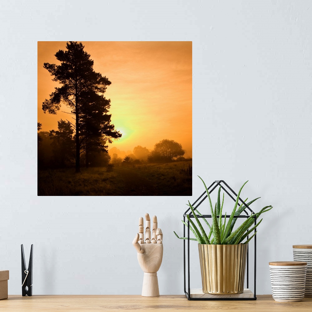 A bohemian room featuring A warm misty glowing golden yellow sunrise over trees.