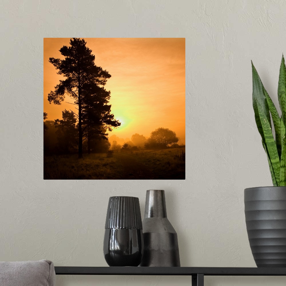 A modern room featuring A warm misty glowing golden yellow sunrise over trees.