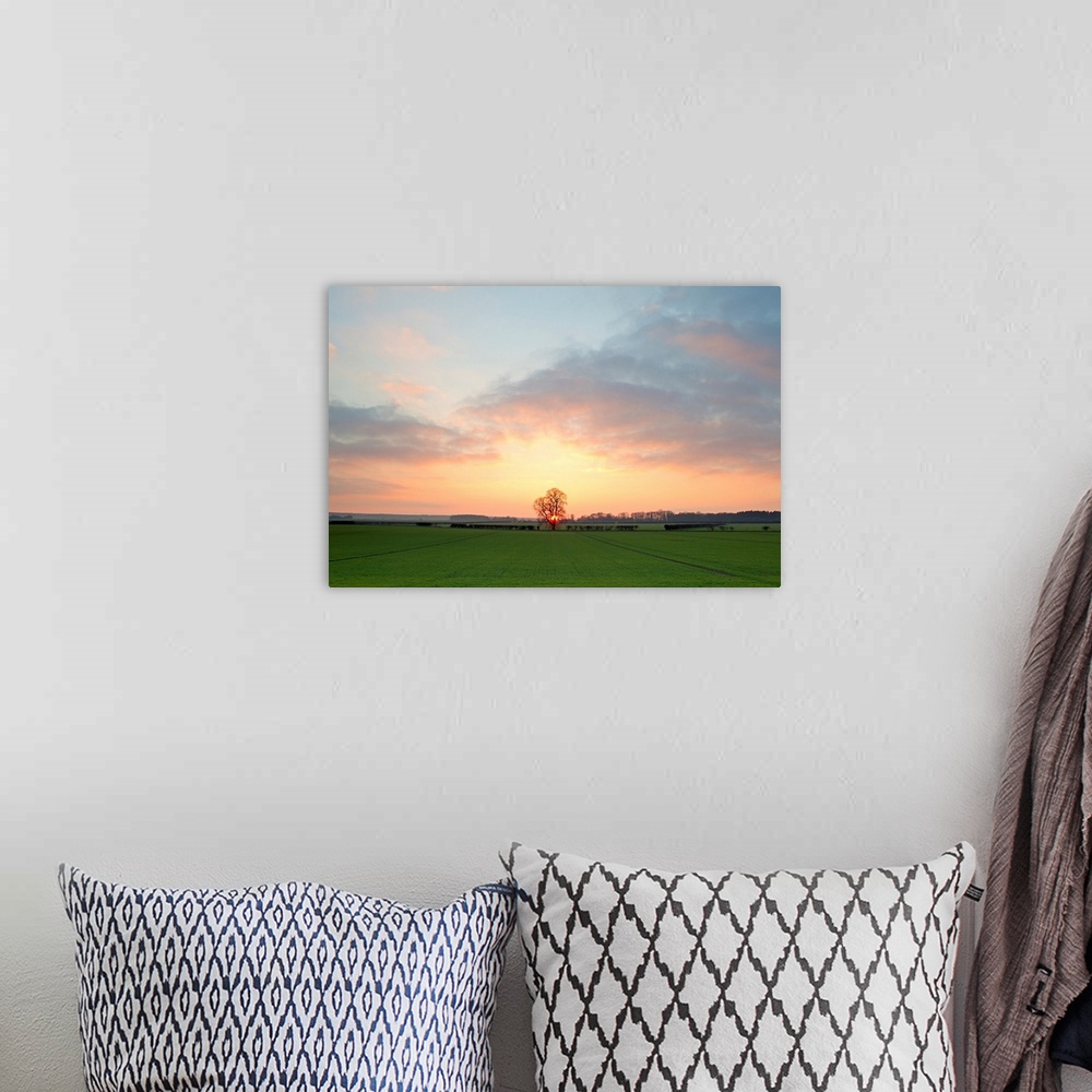 A bohemian room featuring A golden warm morning sunrise over open green fields with a central lone tree and soft clouds.