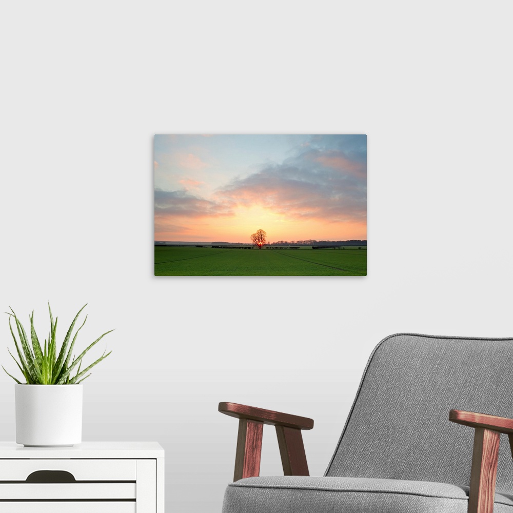 A modern room featuring A golden warm morning sunrise over open green fields with a central lone tree and soft clouds.